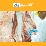 معرفی رشتۀ بهداشت و بازرسی گوشت، بازار کار