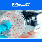 معرفی جامع رشتۀ بیولوژی و کنترل ناقل بیماری‌ها