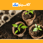 معرفی رشتۀ زراعت و اصلاح نباتات، گرایش‌ها، توانایی‌ها