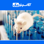 معرفی رشتۀ زیست‌شناسی جانوری، گرایش، بازار کار