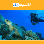 معرفی رشتۀ زیست‌شناسی دریا، گرایش، بازار کار، مهاجرت