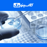 معرفی رشتۀ زیست‌شناسی سلولی مولکولی، گرایش، بازار کار