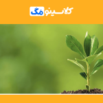 معرفی رشتۀ زیست‌شناسی گیاهی، گرایش، بازار کار، وظایف