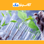 معرفی رشتۀ زیست‌فناوری (بیوتکنولوژی)، گرایش، بازار کاری