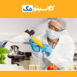 معرفی رشتۀ علوم و صنایع غذایی، گرایش‌ها، بازار کار