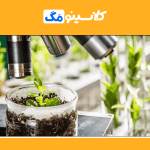 معرفی رشتۀ گیاهپزشکی، گرایش، توانایی‌ها و بازار کار