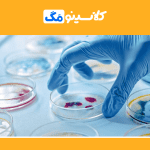 معرفی رشتۀ میکروبیولوژی، ادامه تحصیل، گرایش، بازار کار، مهاجرت